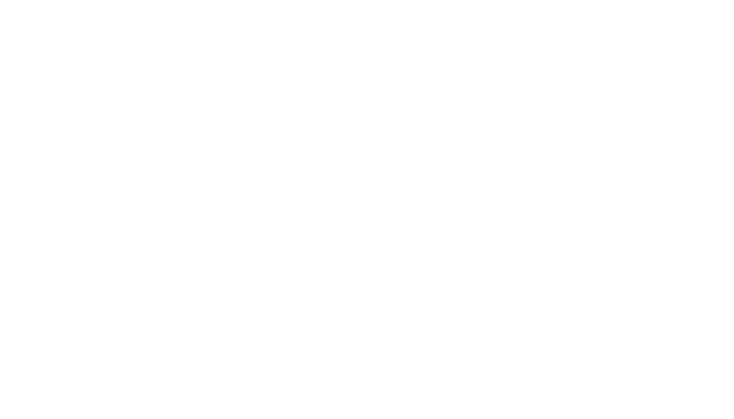 DG Inter Service Logo